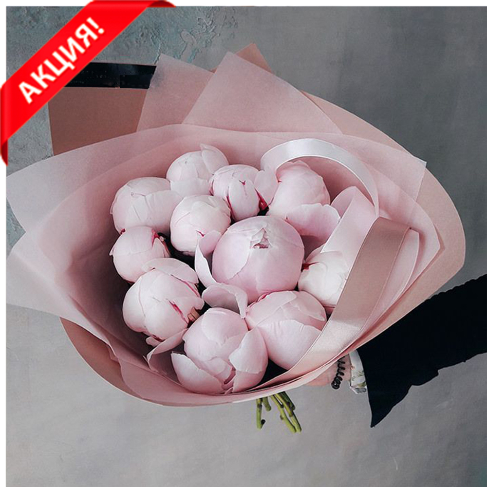 Купить букет 11 розовых пионов Сара Бернар