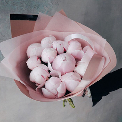 Пионы розовые "Sarah Bernhardt" от 3шт