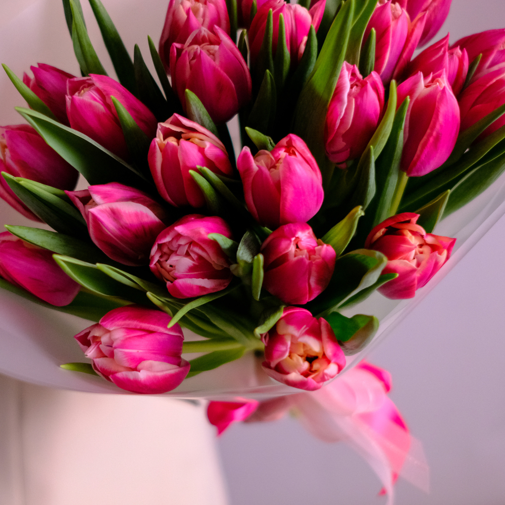 Букет 25 пионовидных тюльпанов Columbus #810