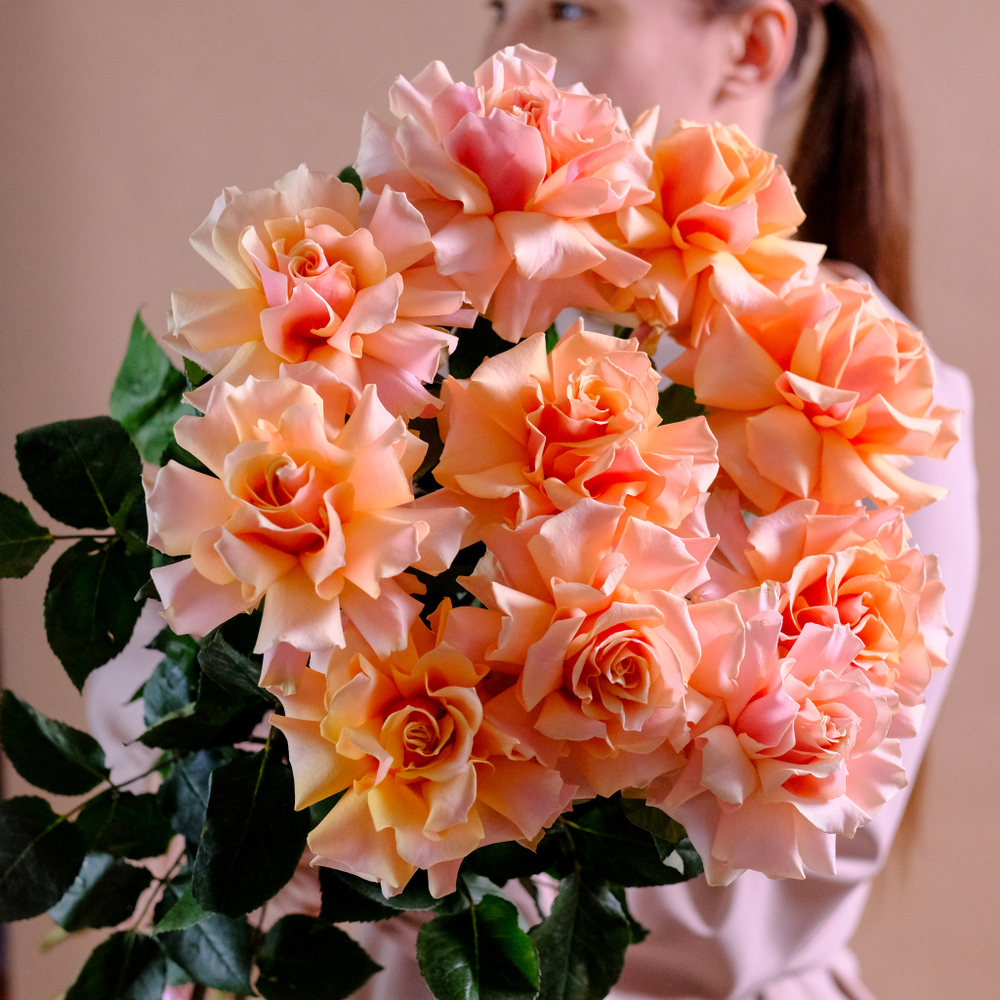 Розы французские Amaretto от 9шт