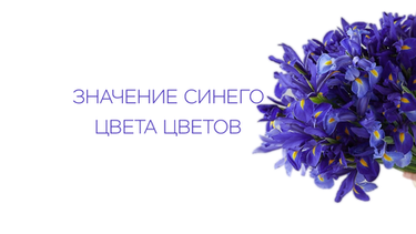 Значение синего цвета цветов