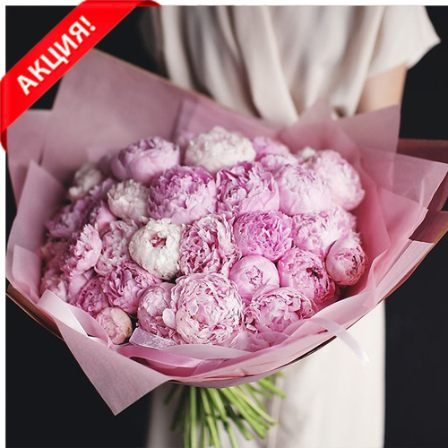 Купить Букет 39 пионов "Sarah Bernhardt"