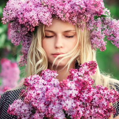 Букеты с сиренью