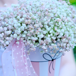 Композиция-комплимент с гипсофилой