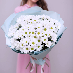 Букет белых хризантемам "Искренность"