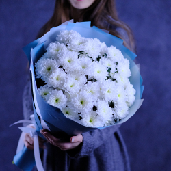 Букет белых хризантем "Притяжение"