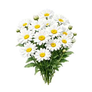 Букеты с ромашками