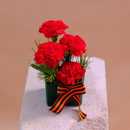 Композиция с красными гвоздиками для возложения