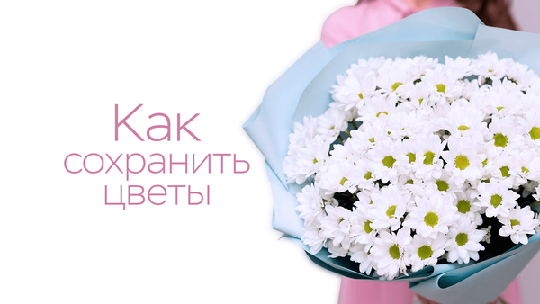 Как сохранить букет цветов в вазе дольше? Как сохранить букет цветов в вазе дольше?