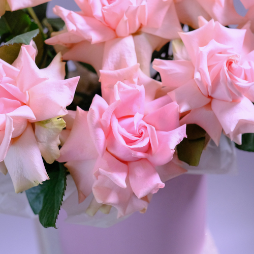 Купить Французские розы в шляпной коробке #905