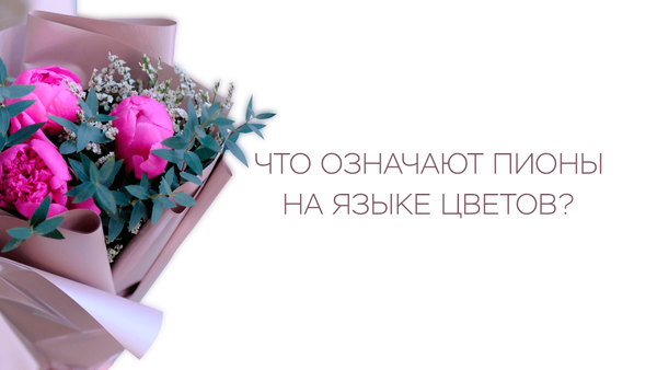 Что означают пионы на языке цветов?