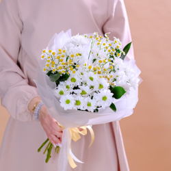 Букет с ромашками "Лада" #85