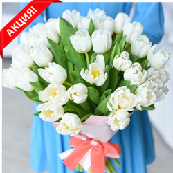 Букет 51 белый тюльпан