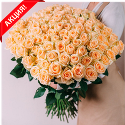 Букет 101 персиковая роза Пич Аваланш акция