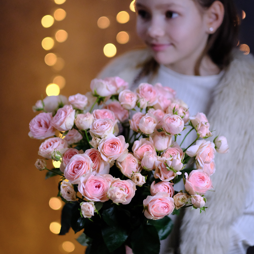 Купить Розы кустовые пионовидные Grandmas Finest Katy