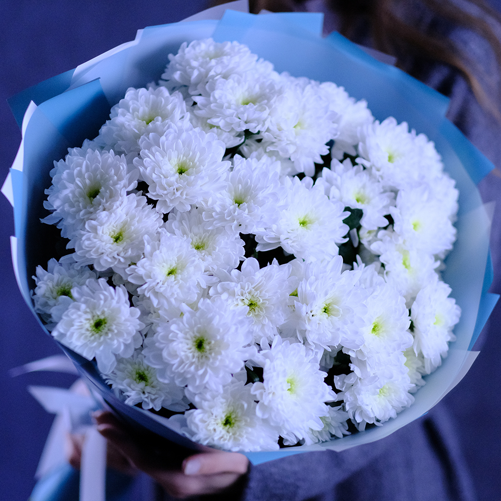 Букет белых хризантем "Притяжение"