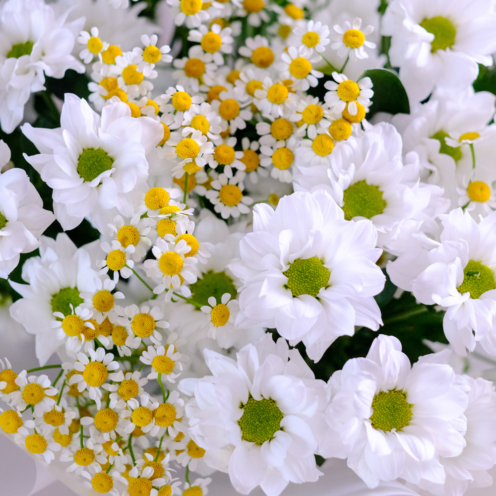 Букет с ромашками "Лада" #87