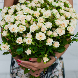 Купить кустовые розы в Перми кремовые.