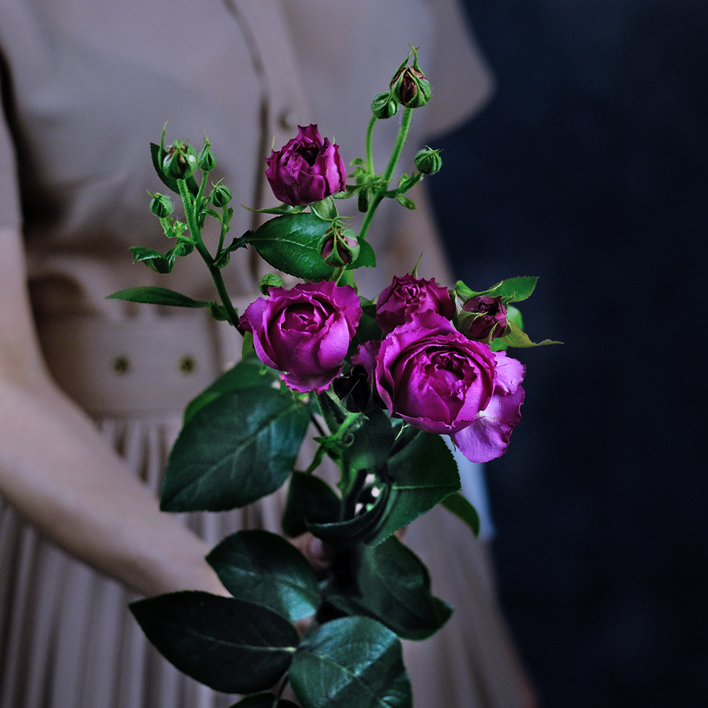 Розы кустовые пионовидные Rich Bubbles от 7шт