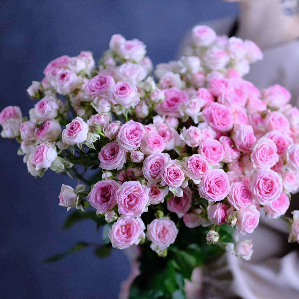 Розы кустовые пионовидные Kate Lynn