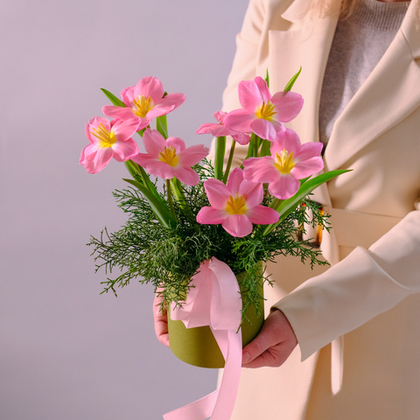 Весенняя композиция с тюльпанами в шляпной коробке #232