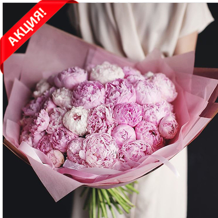 Букет 39 пионов "Sarah Bernhardt"