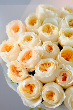 Букет садовых роз Вики Айвори #222