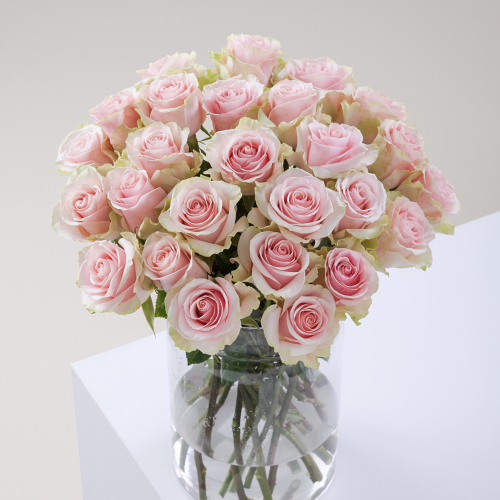 Купить Розы розовые Frutteto от 7шт