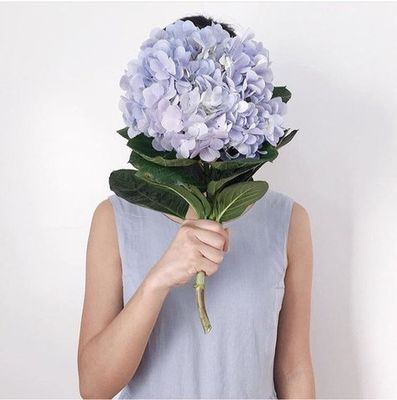 Букеты с гортензией