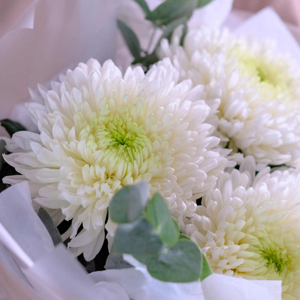 Букет королевских хризантем «Полёт» #990