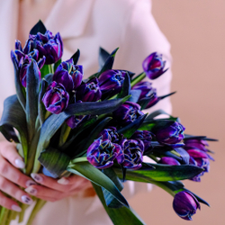 Букет 15 пионовидных тюльпанов Columbus Color #809_1