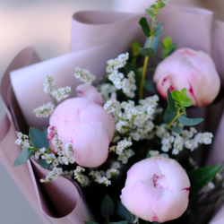 Букет-комплимент из пионов #5202