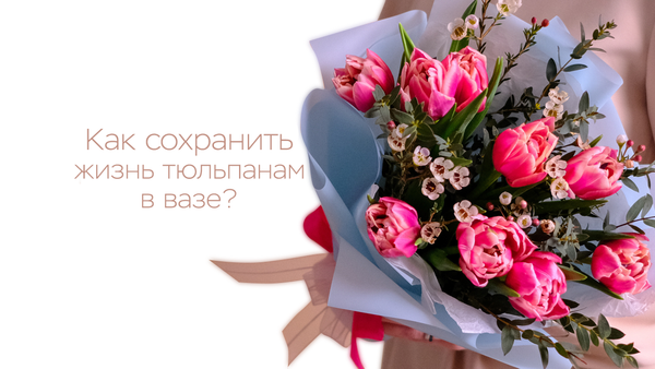 Как сохранить жизнь тюльпанам в вазе?