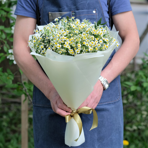 Купить Букет 11 ромашек