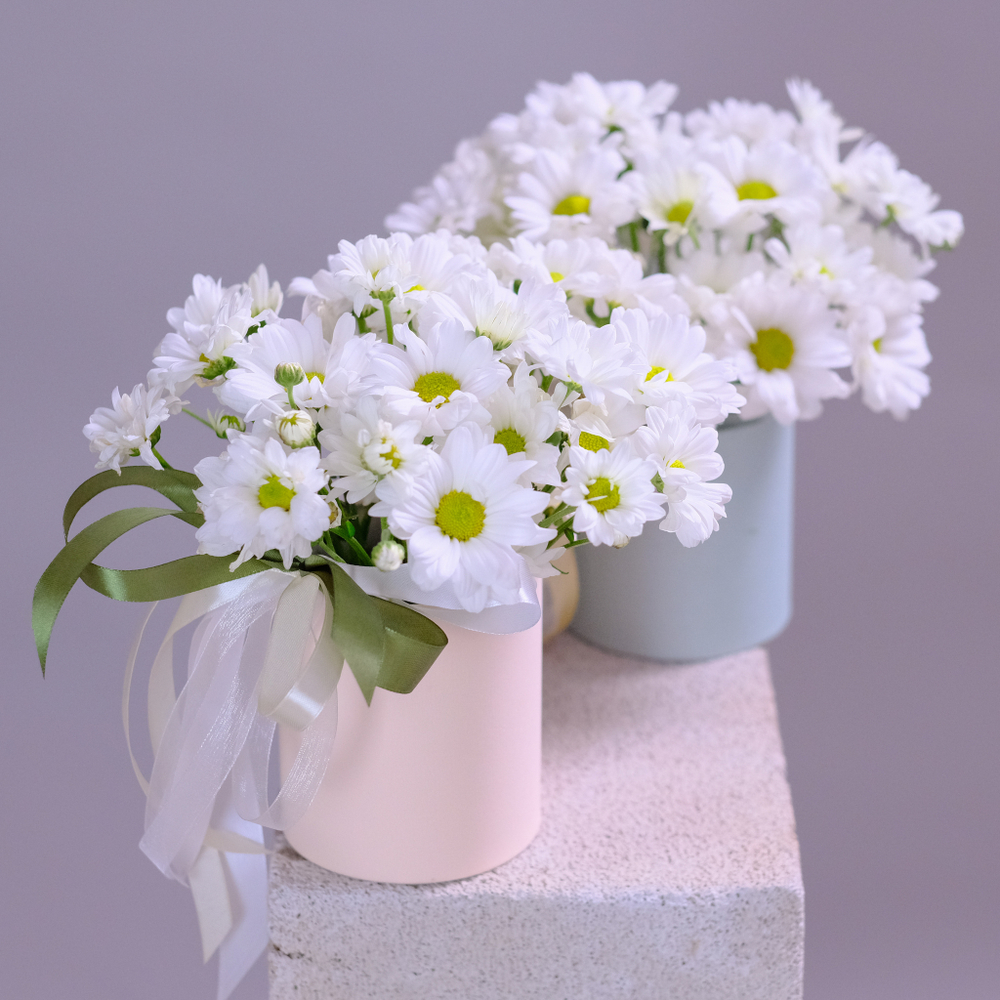 Цветы ромашки в шляпной коробке #105