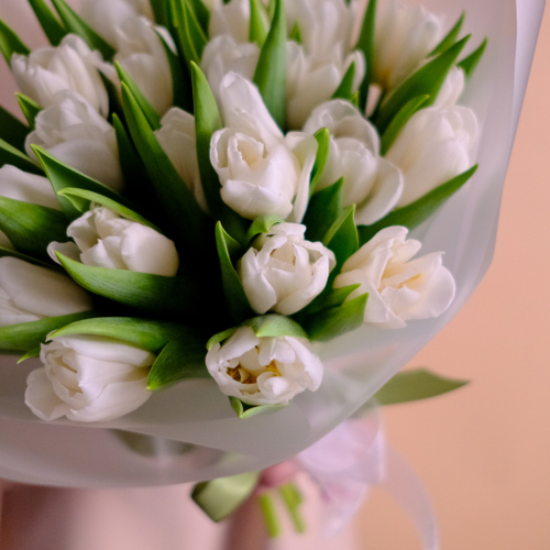 Купить Букет 25 пионовидных тюльпанов Мондиал #806