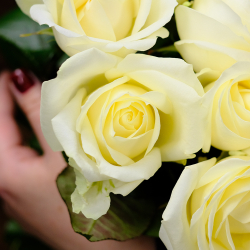 Букет 9 белых роз "Для любимой"