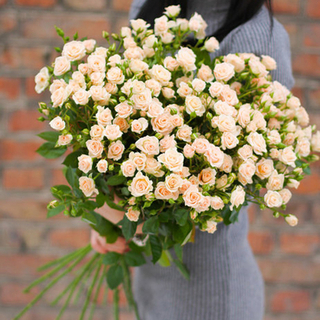 Кустовые розы