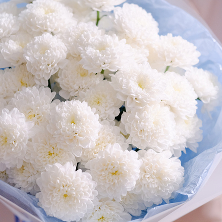 Букет из кустовых хризантем Алтай