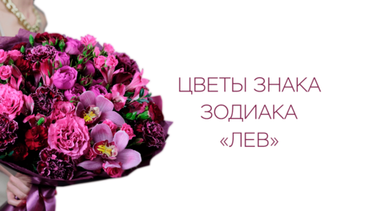 Цветы знака зодиака «Лев»