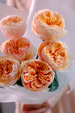 Букет садовых роз Хорошее настроение #227