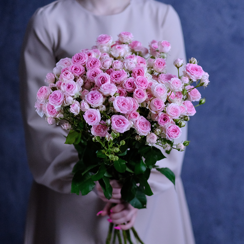 Розы кустовые пионовидные Kate Lynn