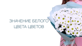 Значение белого цвета цветов