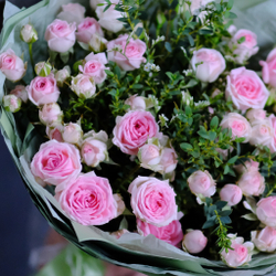 Букет пионовидных роз Кейт Лин #489