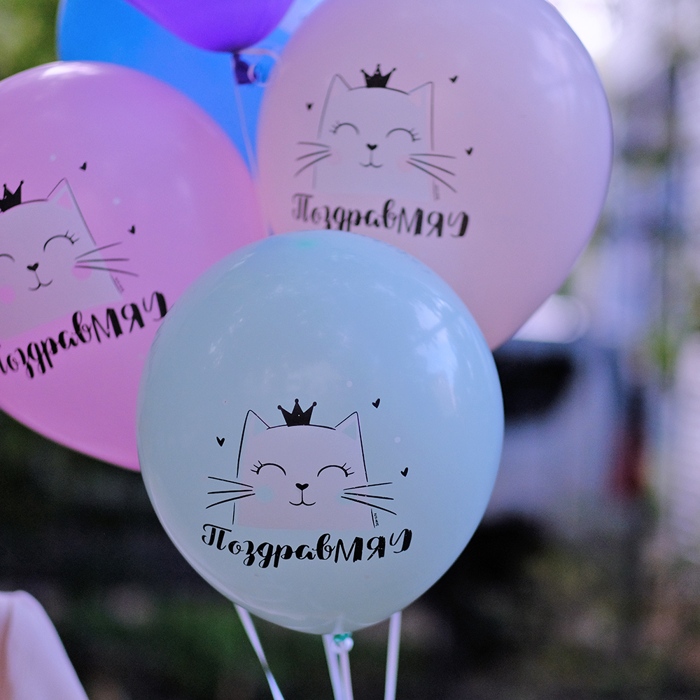 Воздушные шары "С днем рождения" Кошка Мэри