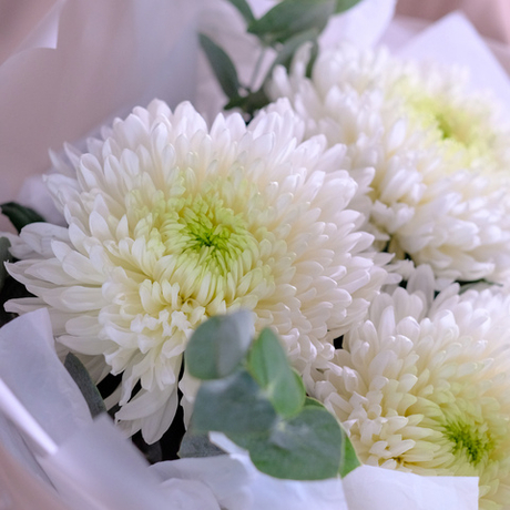 Букет королевских хризантем «Полёт» #990