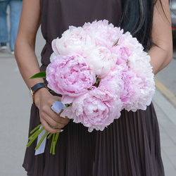 Пионы розовые "Sarah Bernhardt" от 3шт