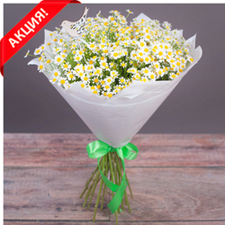 Букет ромашек купить в Перми недорого