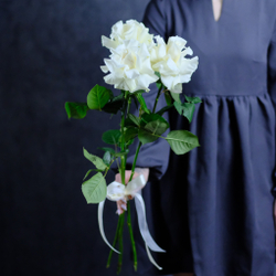 Розы французские белые от 9шт