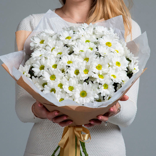 Купить Хризантемы кустовые белые Bacardi от 3шт